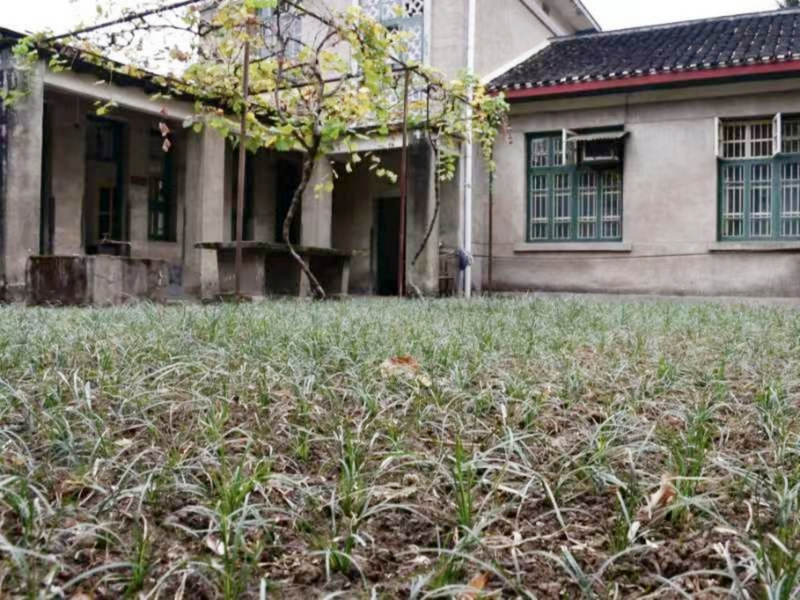 1668737665283072627.jpg 06f9828bd9e52c8a678e5731146359f.jpg