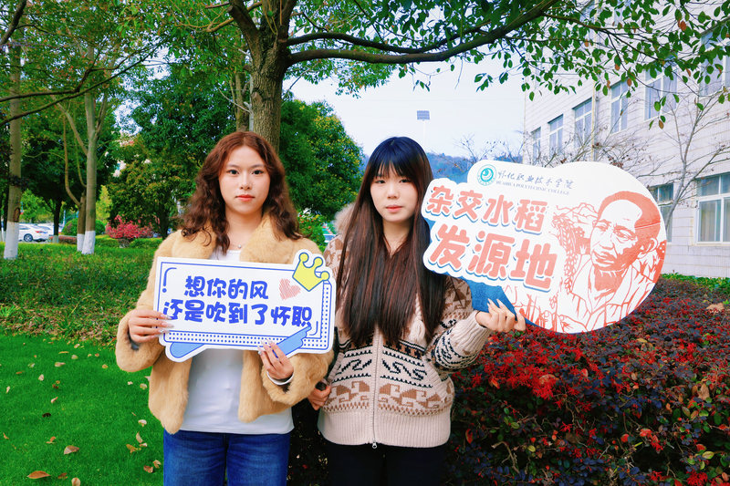 1773628697850027165.jpg 2.jpg